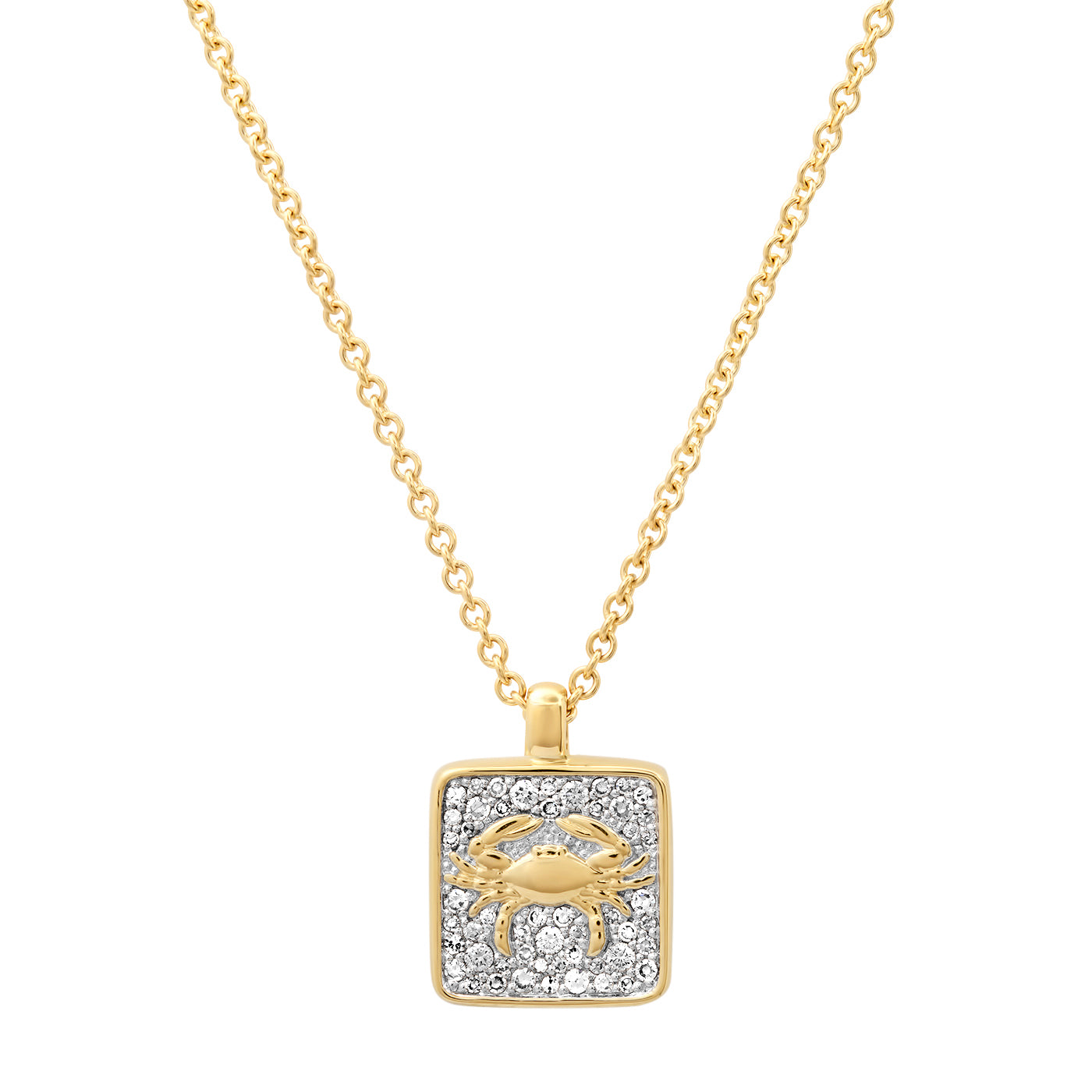 14K Yellow Gold Cancer Necklace